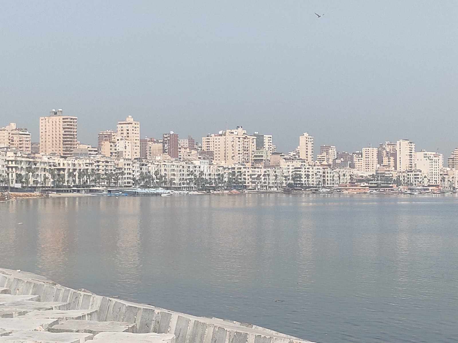 ارتفاع في درجات الحرارة في الاسكندرية