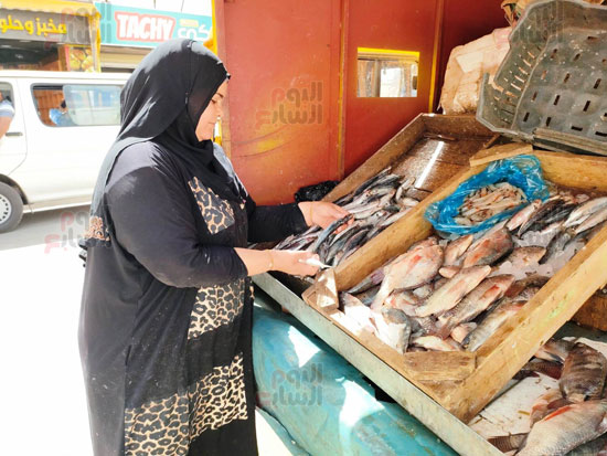 كفاح-ام-محمد-في-بيع-الأسماك