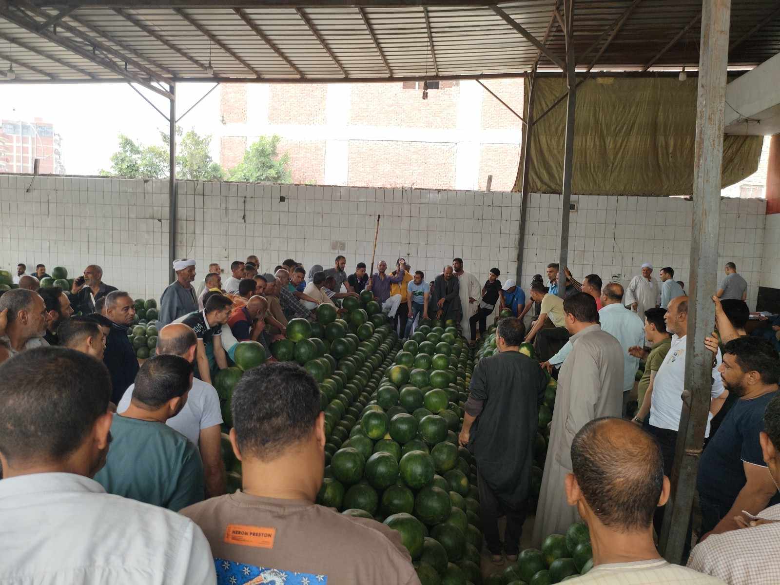 اقبال كبير  للتجار علي مستوي وجه بحري لبيع البطيخ بالإسكندرية