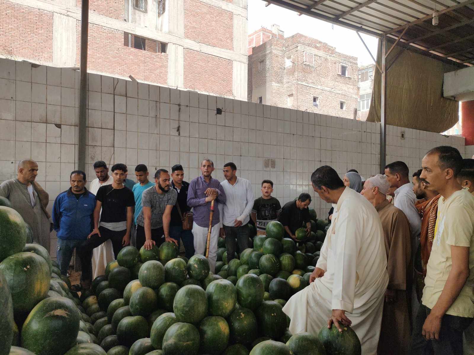 مزاد بيع البطيخ في وكالة الحضرة الإسكندرية