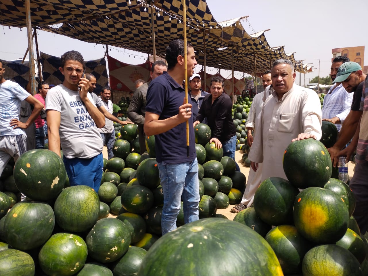 مزاد البطيخ بسوق بنها العمومي