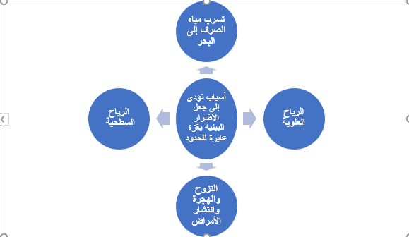 أسباب تجعل الأضرار البيئية في غزة عابرة للحدود