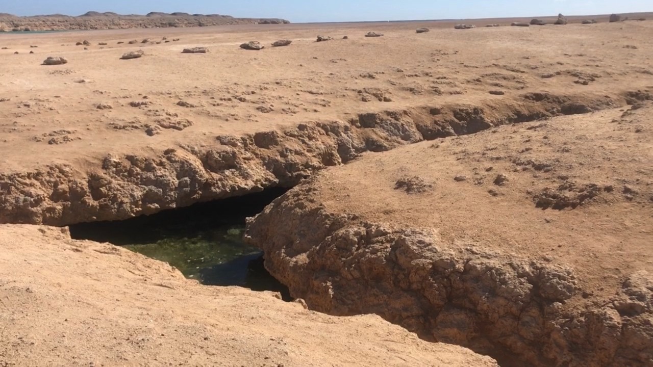 محميات تحافظ على الحياة الطبيعية بجنوب سيناء (2)