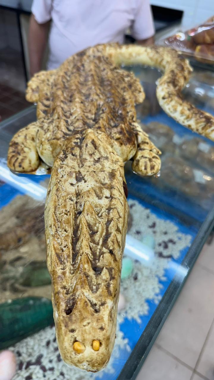 التمساح المخبوز