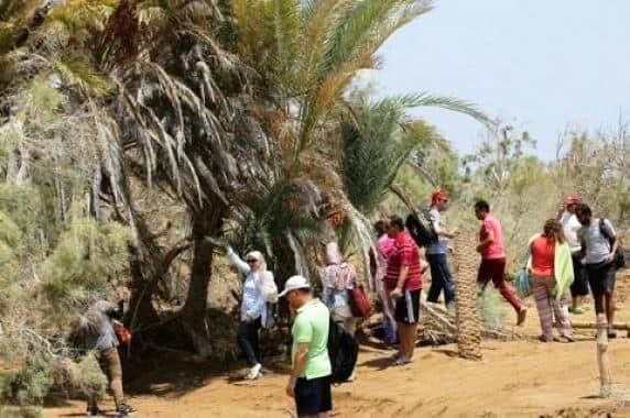 الزيارات السياحية للمنطقة 