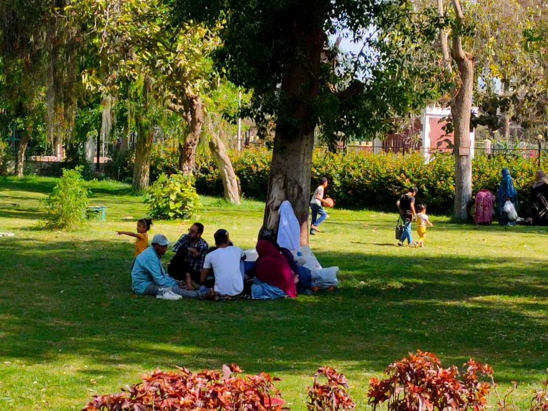 جانب من استعداد حدائق القناطر الخيرية لاستقبال زوارها في شم النسيم (3)