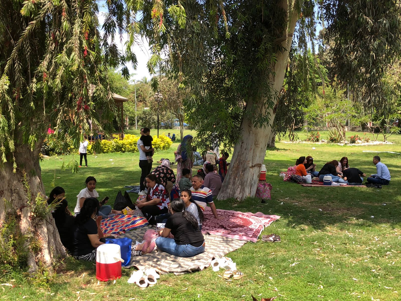 عيد شم النسيم بحدائق القناطر الخيرية (3)