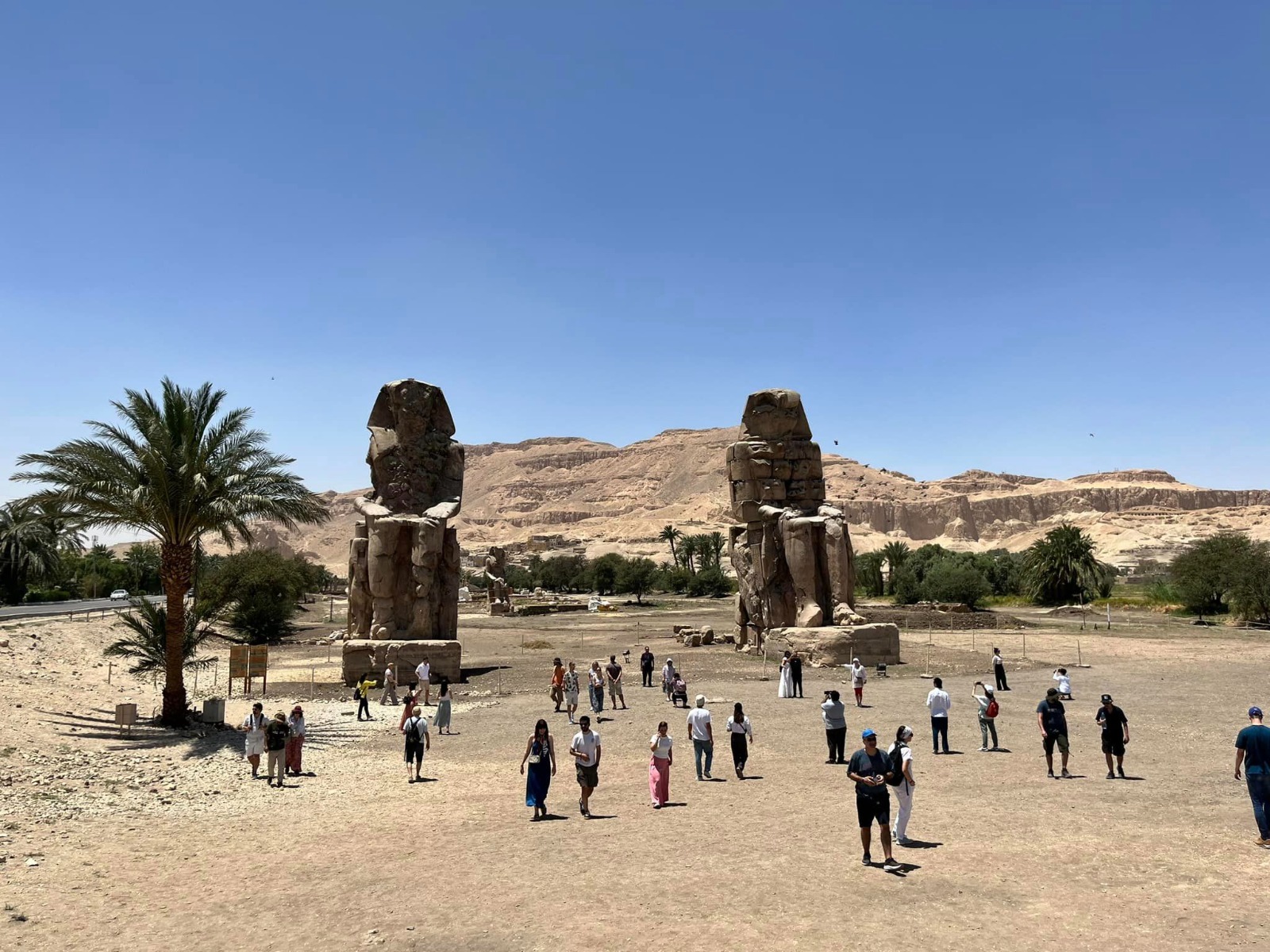 زيارات مميزة من السائحين لمنطقة تمثالى ممنون بالبر الغربى زيارات مميزة من السائحين لمنطقة تمثالى ممنون بالبر الغربى