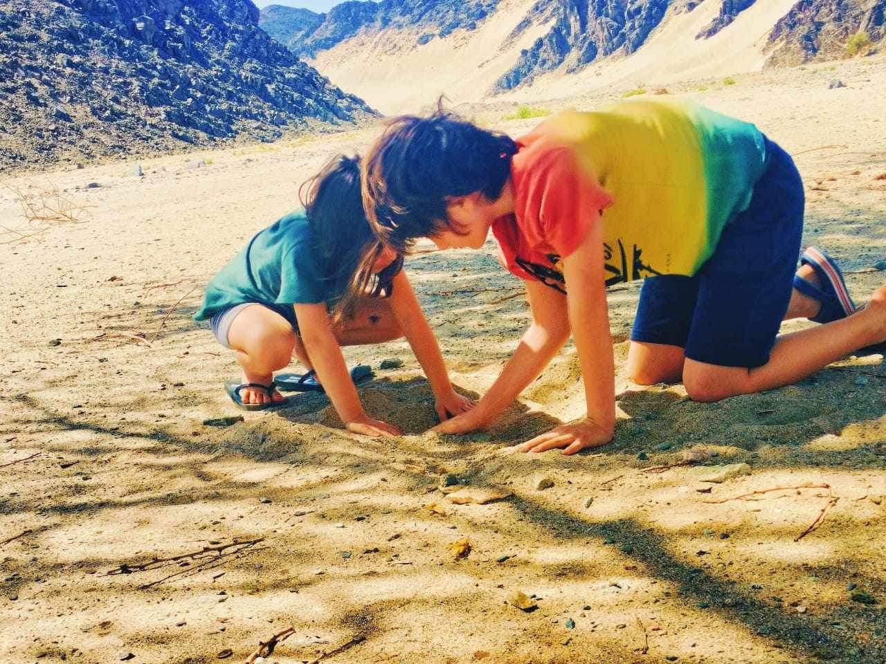 أطفال السياح يلعبون فى الرمال بالأدوية الجبلية