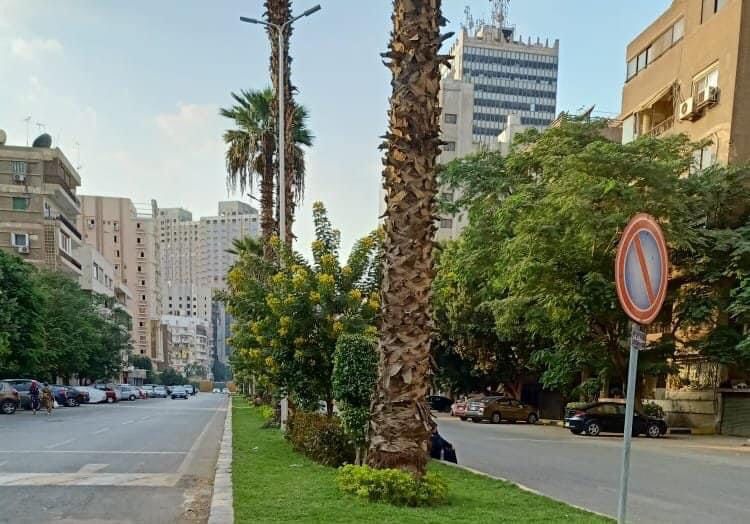 المسطحات الخضراء بشارع جزيرة العرب في حي العجوزة