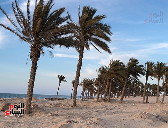 شاطئ-الريسة-جوهرة-من-الجمال-بالعريش