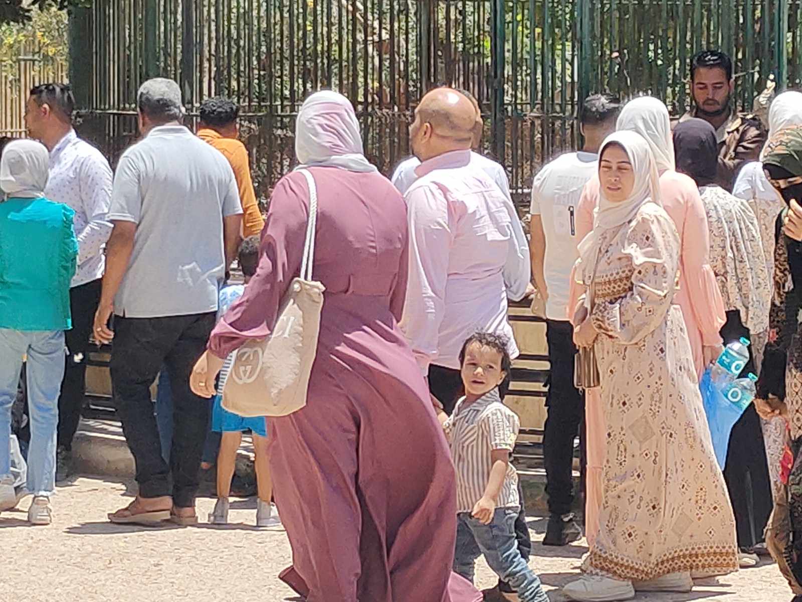 اقبال الأسر علي حديقة حيوان الإسكندرية
