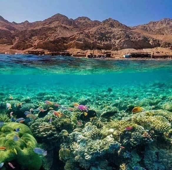 لوحة بديعة من الطبيعة لوحة بديعة من الطبيعة
