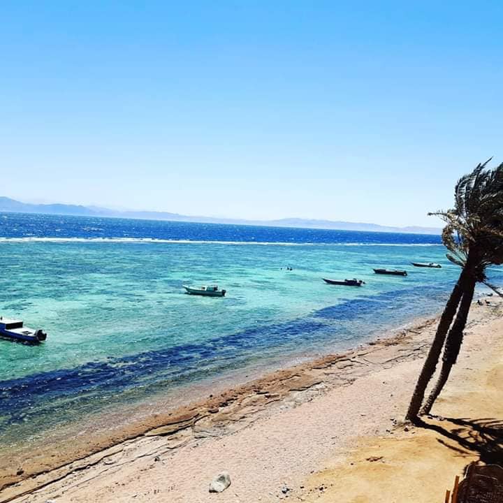 جمال بكر جمال بكر