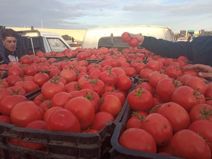 تجفيف الطماطم يوفر فرص عمل للجميع