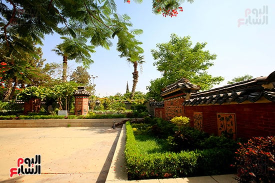 الحديقة الكورية (12)
