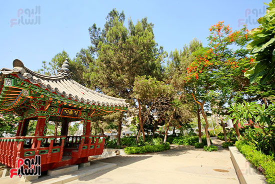 الحديقة الكورية (10)