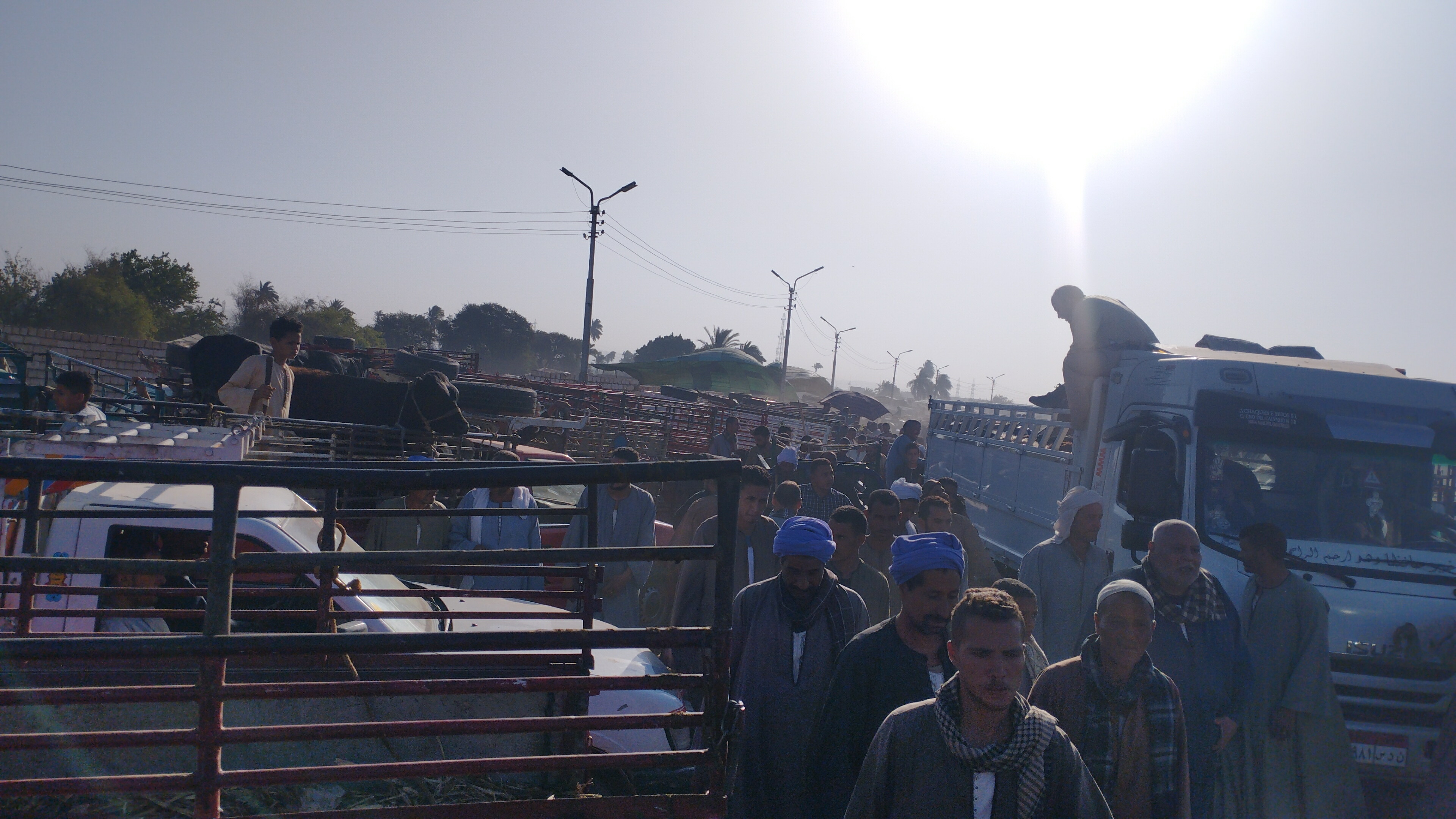 إقبال على سوق المواشي مع اقتراب عيد الأضحى
