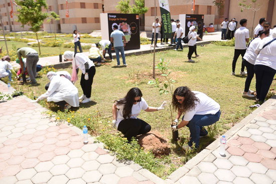 اورنچ مصر تطلق حملة واسعة بمشاركة الموظفين لزراعة الأشجار المثمرة