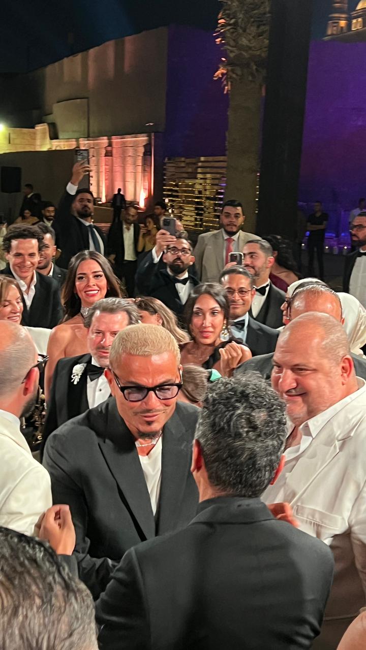عمرو دياب