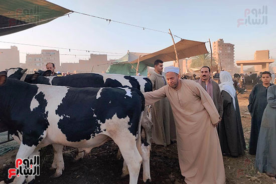 أضاحى-العيد أضاحى-العيد