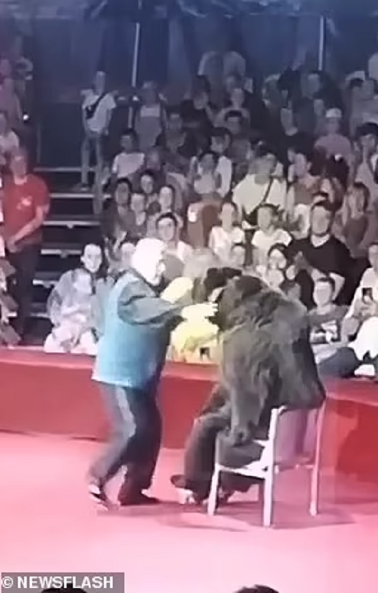 قبل هجوم الدبة على المدرب
