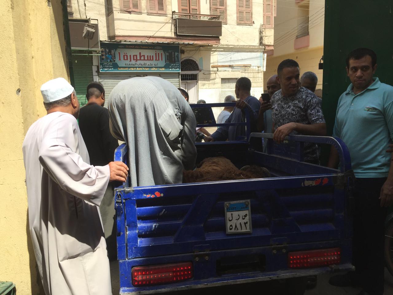 إقبال الأهالى على بيع الخراف الحية بـ220 للكيلو بالشركة المصرية