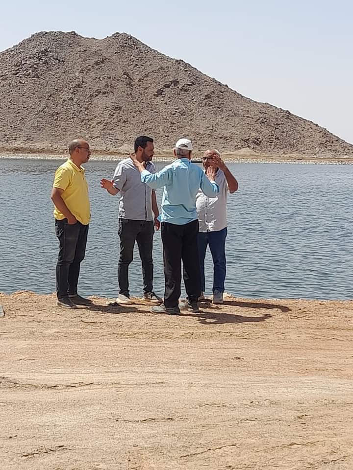 توسيع الغابات الشجرية في أسوان (10)