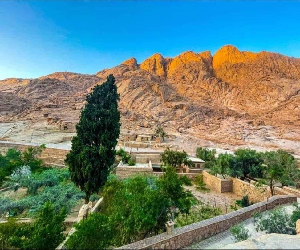 الطبيعة في سانت كاترين (3)
