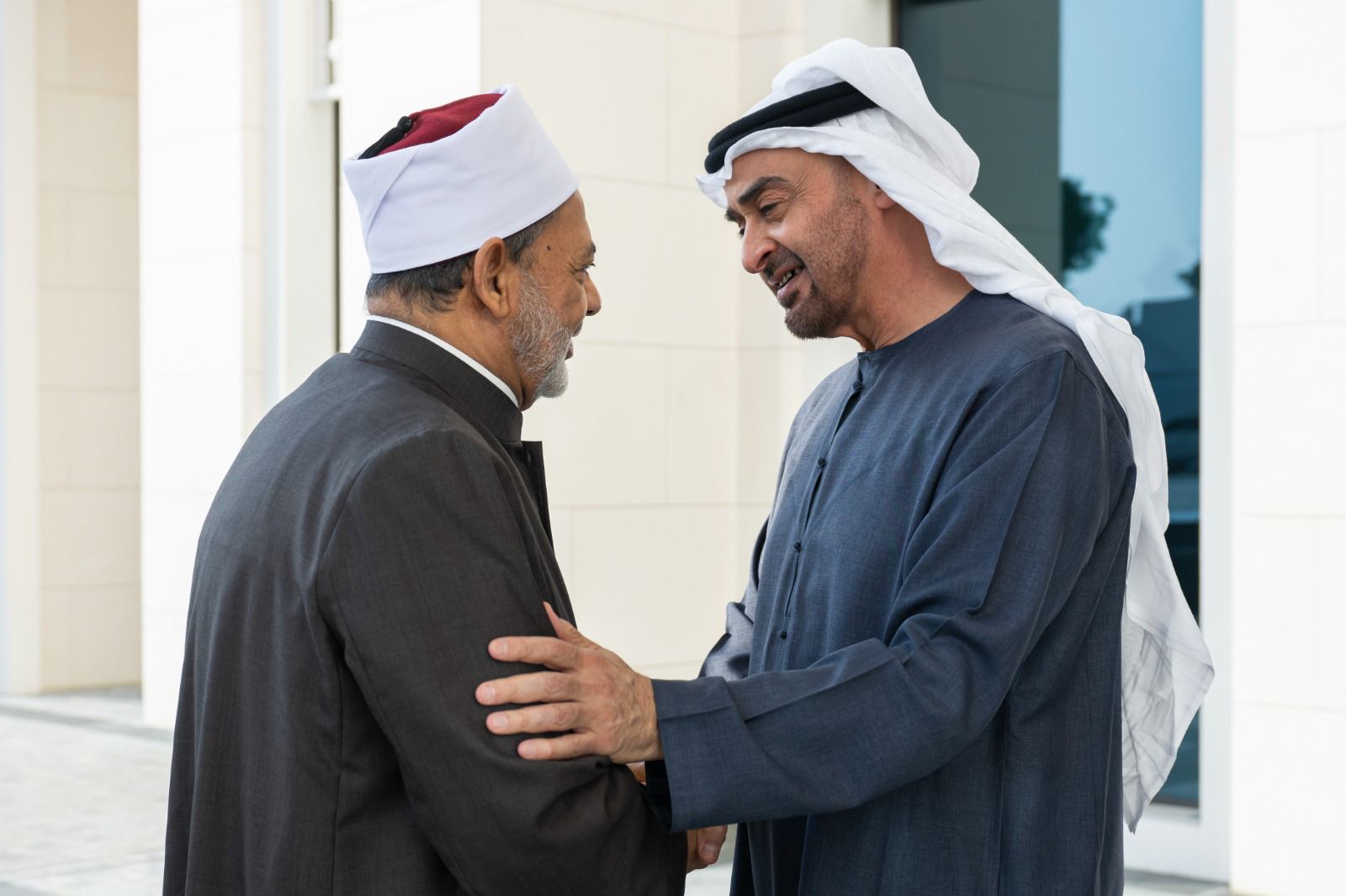 رئيس الإمارات يستقبل شيخ الأزهر  (3)
