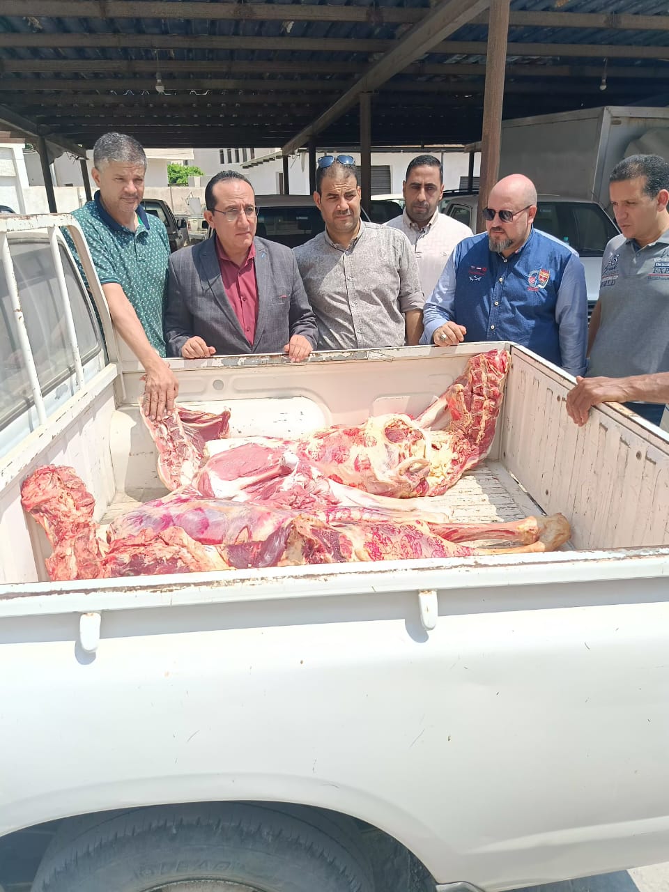 اللحوم المضبوطة بكفر الشيخ