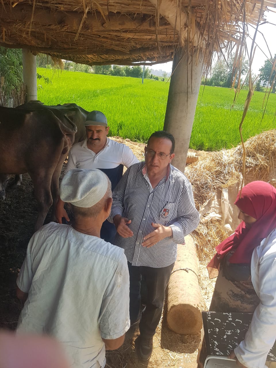مدير عام الطب البيطري بكفر الشيخ يحث المزارعين على التحصين