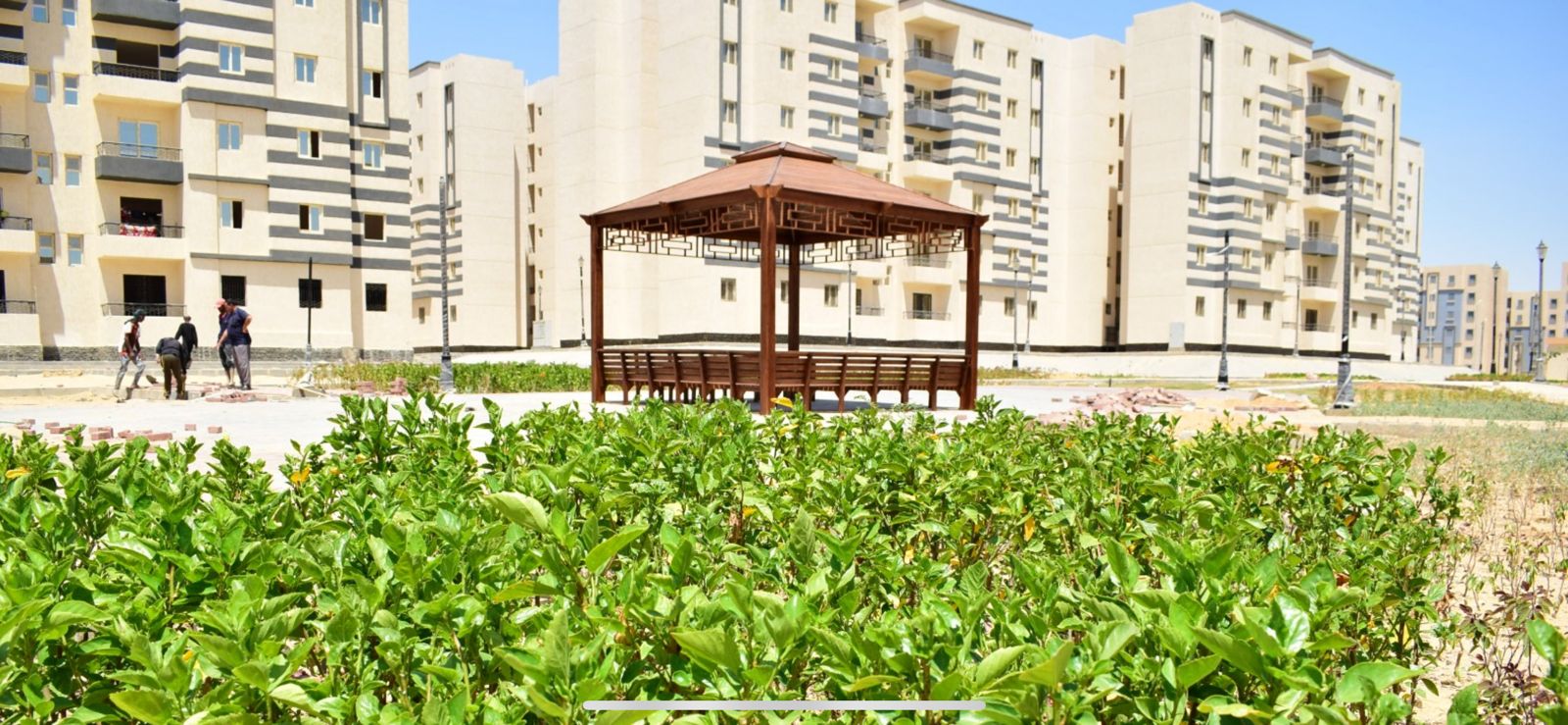 الأعمال الزراعية بالمرحلة الخامسة من مشروع إسكان كل المصريين (10)