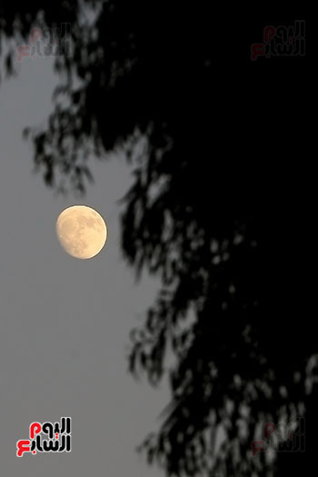 القمر الأحدب