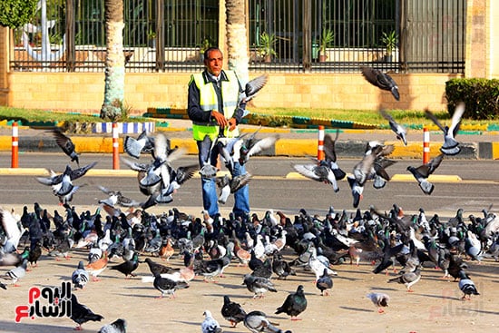 الحمام-ميدان-الشهداء-بور-سعيد-تصوير-ماهر-اسكندر-(54)