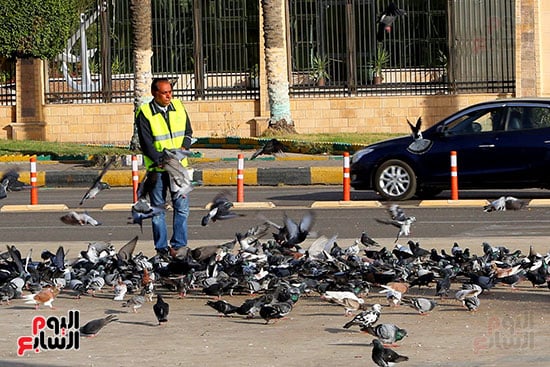 الحمام-ميدان-الشهداء-بور-سعيد-تصوير-ماهر-اسكندر-(43)