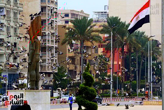 الحمام-ميدان-الشهداء-بور-سعيد-تصوير-ماهر-اسكندر-(27)