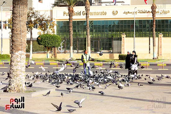 الحمام-ميدان-الشهداء-بور-سعيد-تصوير-ماهر-اسكندر-(57)