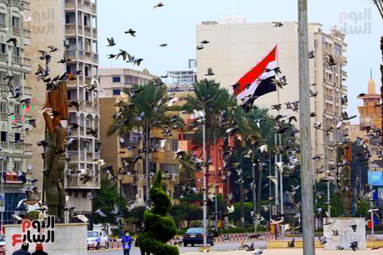 الحمام-ميدان-الشهداء-بور-سعيد-تصوير-ماهر-اسكندر-(29)