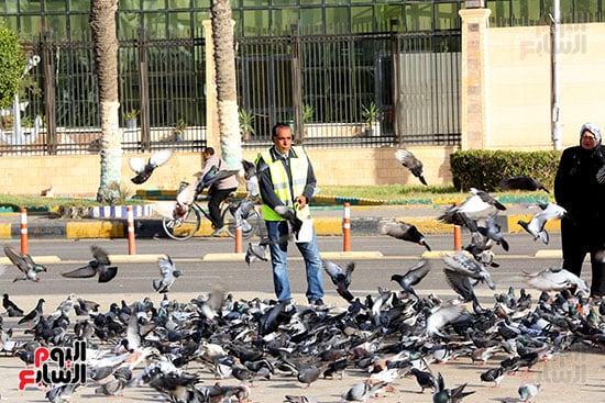 الحمام-ميدان-الشهداء-بور-سعيد-تصوير-ماهر-اسكندر-(58)