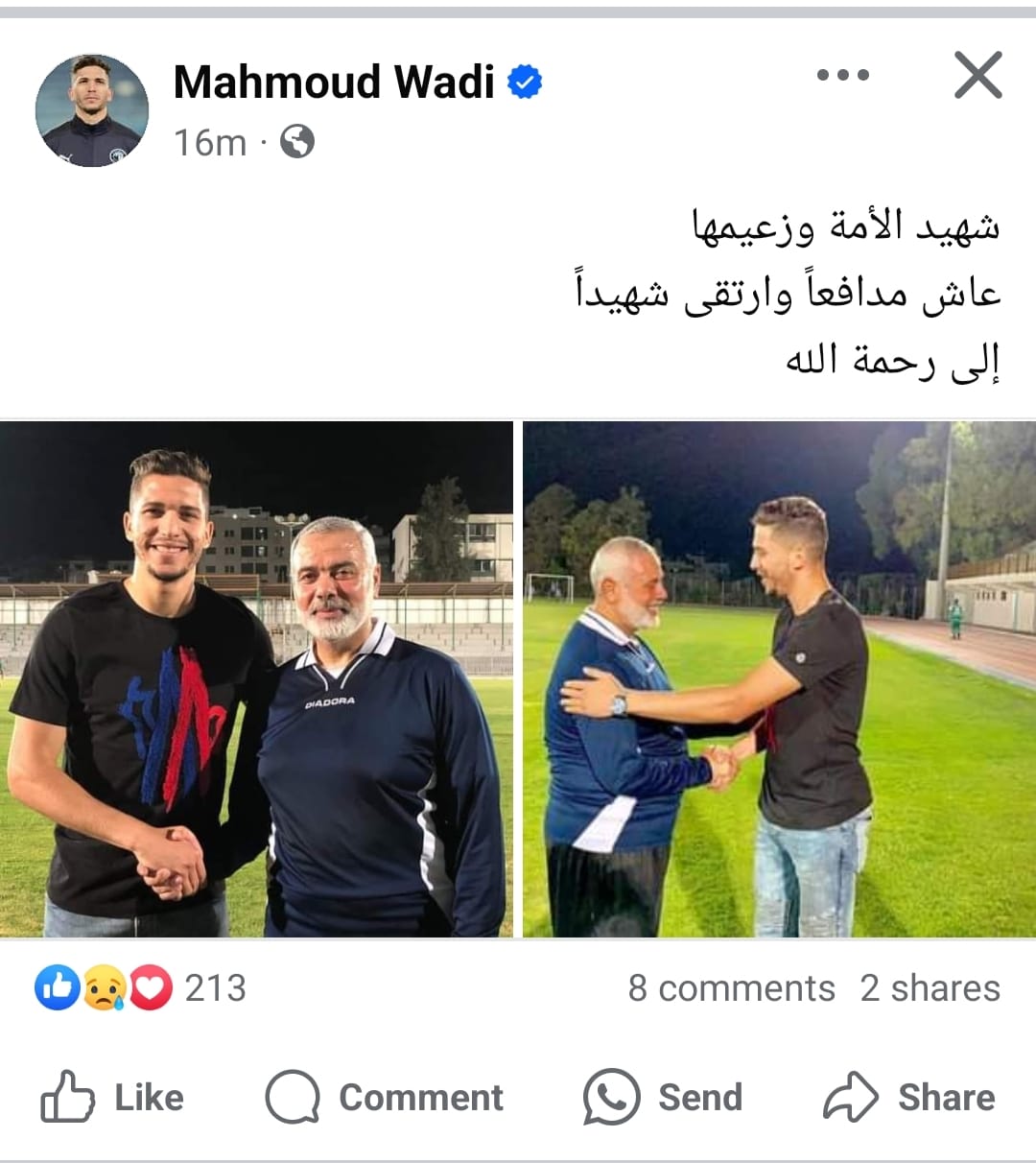 محمود وادى
