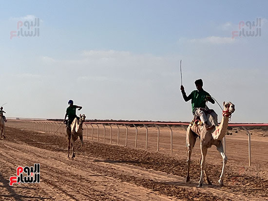 ختام-مهرجان-سباق-الهجن