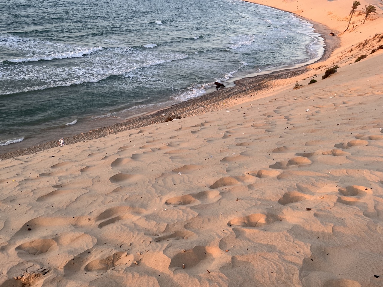 جمال العريش الطبيعي