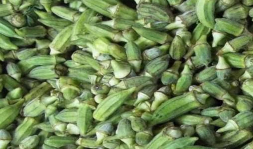 بامية خضراء 