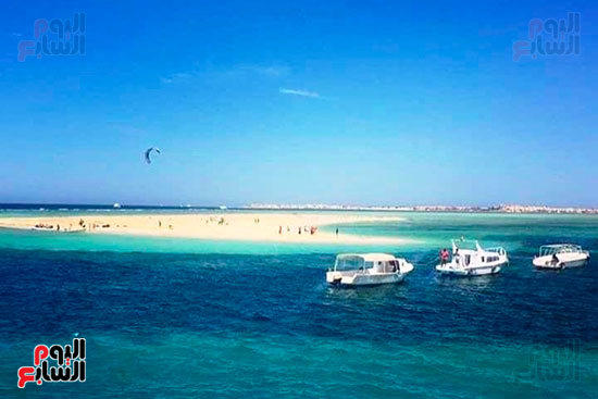 جزيرة توبيا البيضاء بالبحر الأحمر