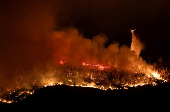 حرائق غابات كاليفورنيا (1)