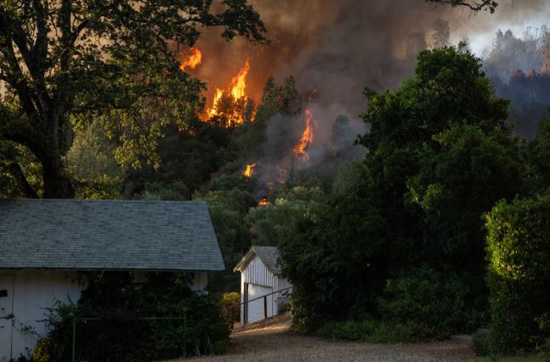 حرائق غابات كاليفورنيا (6)