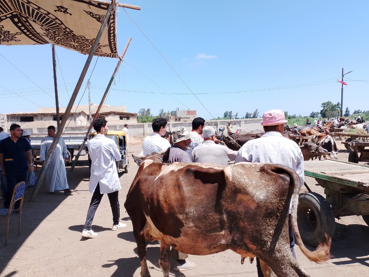 جانب من الاقبال على القافلة البيطرية