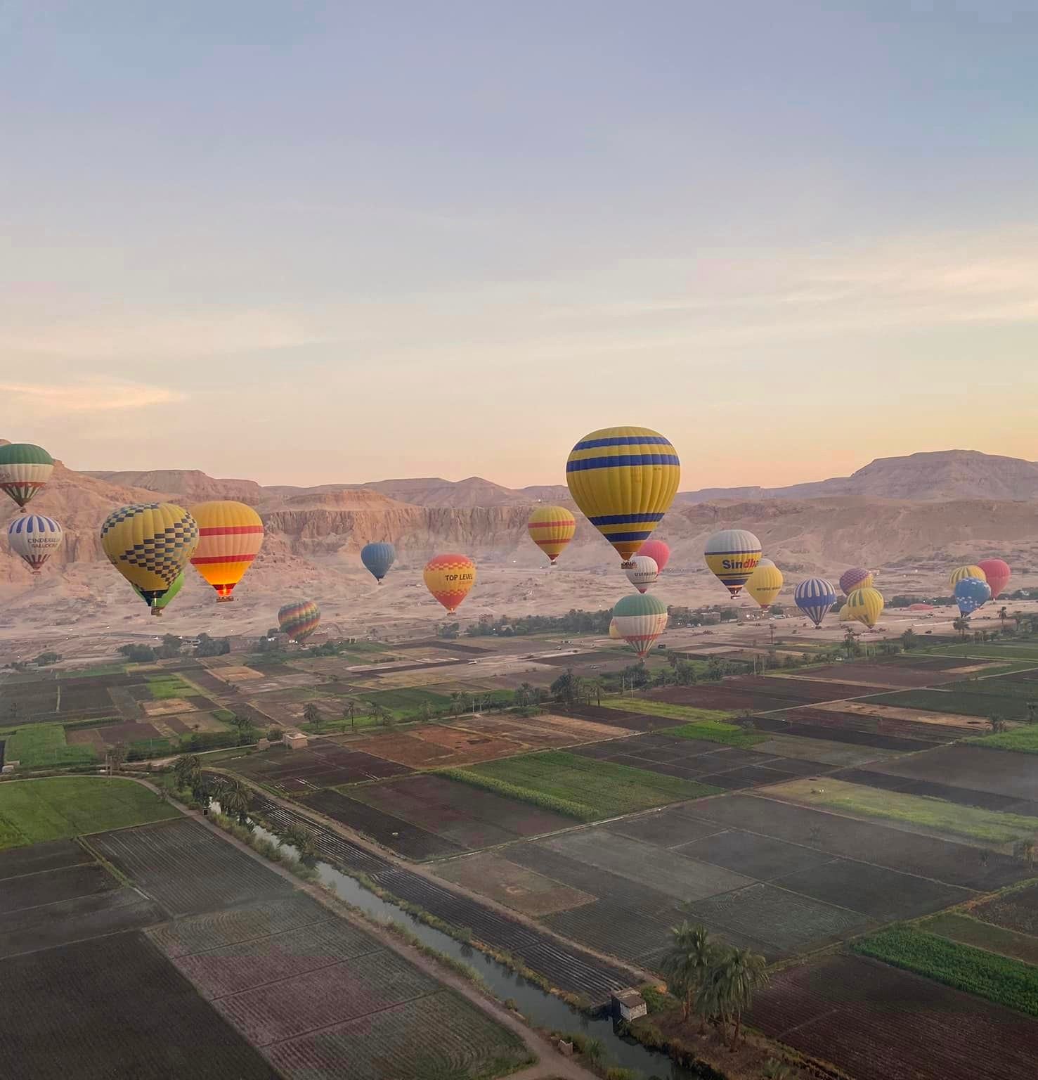 البالونات تحلق بين الطبيعة الساحرة غرب الأقصر