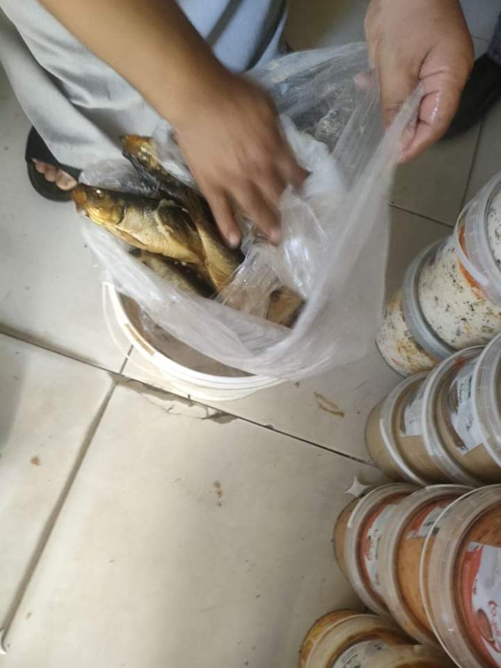 جانب من حملات مديرية صحة دمياط جانب من حملات مديرية صحة دمياط